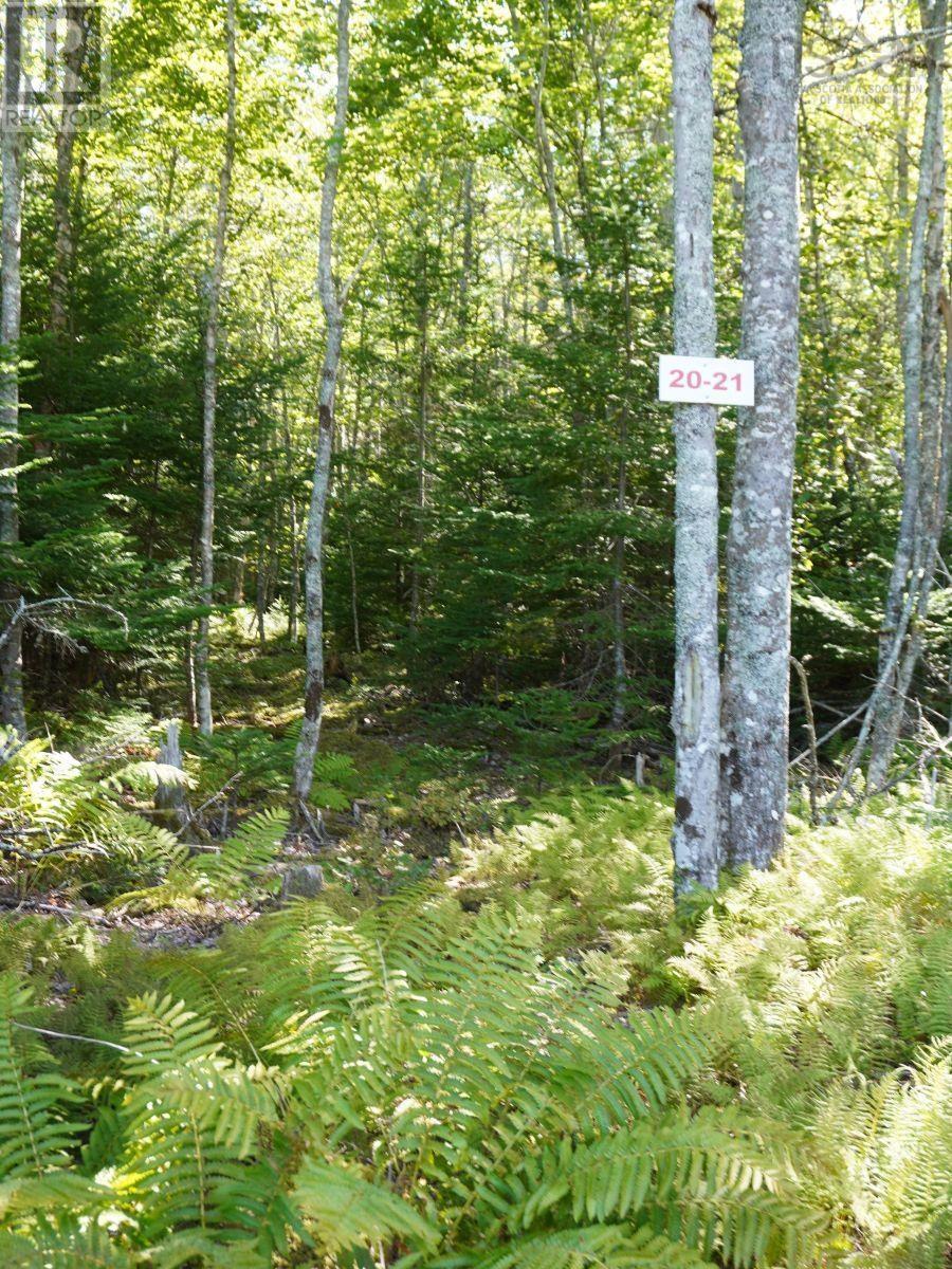 Lot 20 Golden Shore Lane Property Photo 6