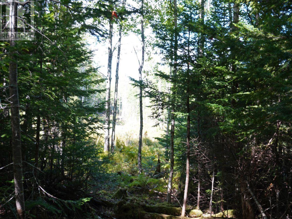 Lot 20 Golden Shore Lane Property Photo 7