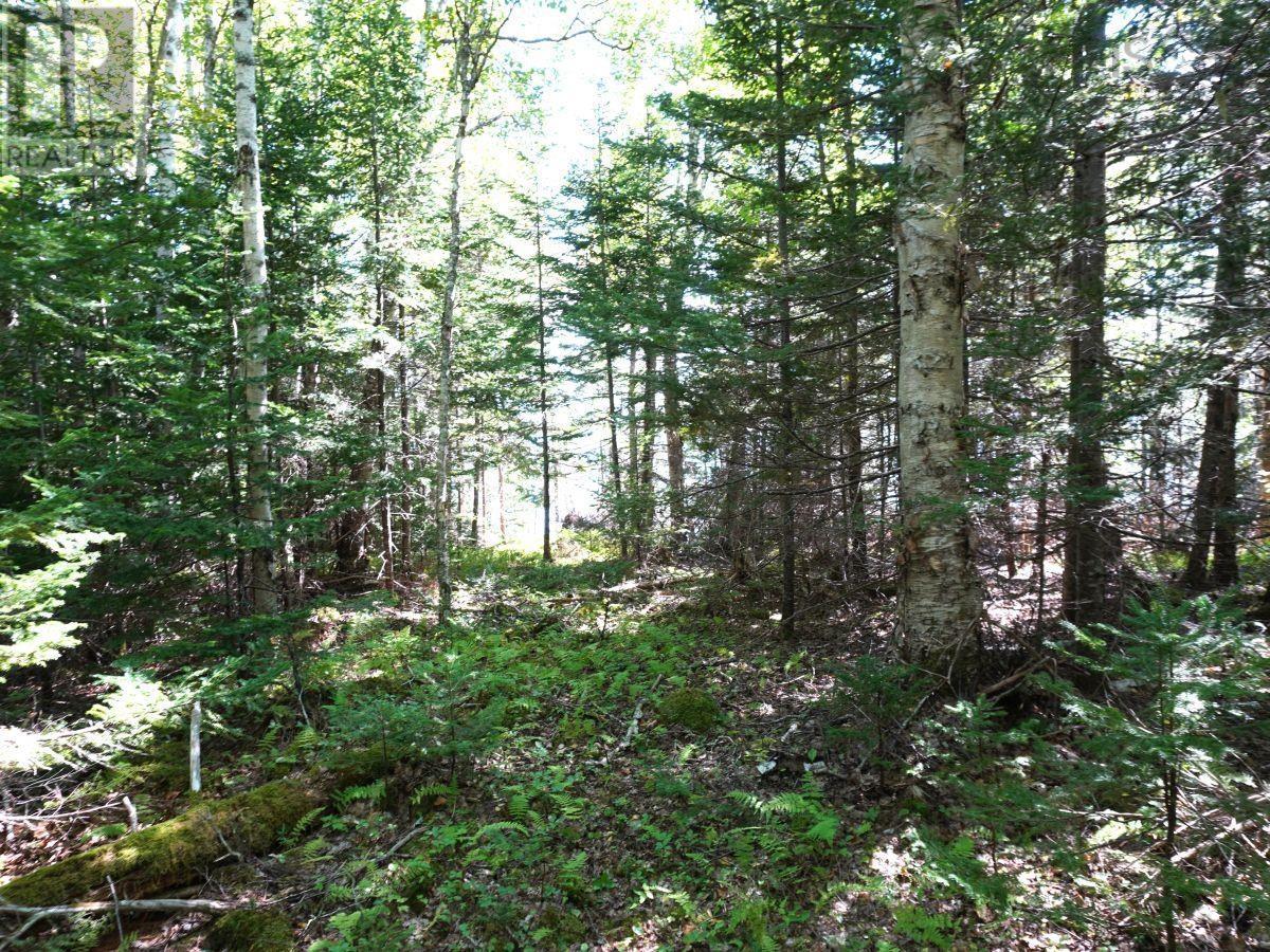 Lot 20 Golden Shore Lane Property Photo 8