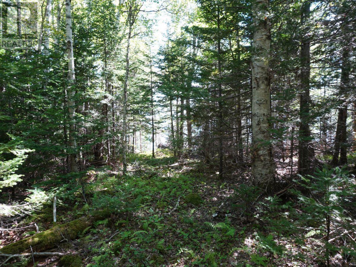 Lot 20 Golden Shore Lane Property Photo 9