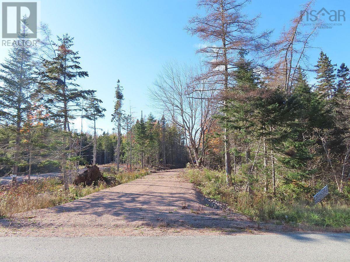 Lot 8 #4 Highway (lower River Road) Road Property Photo 2