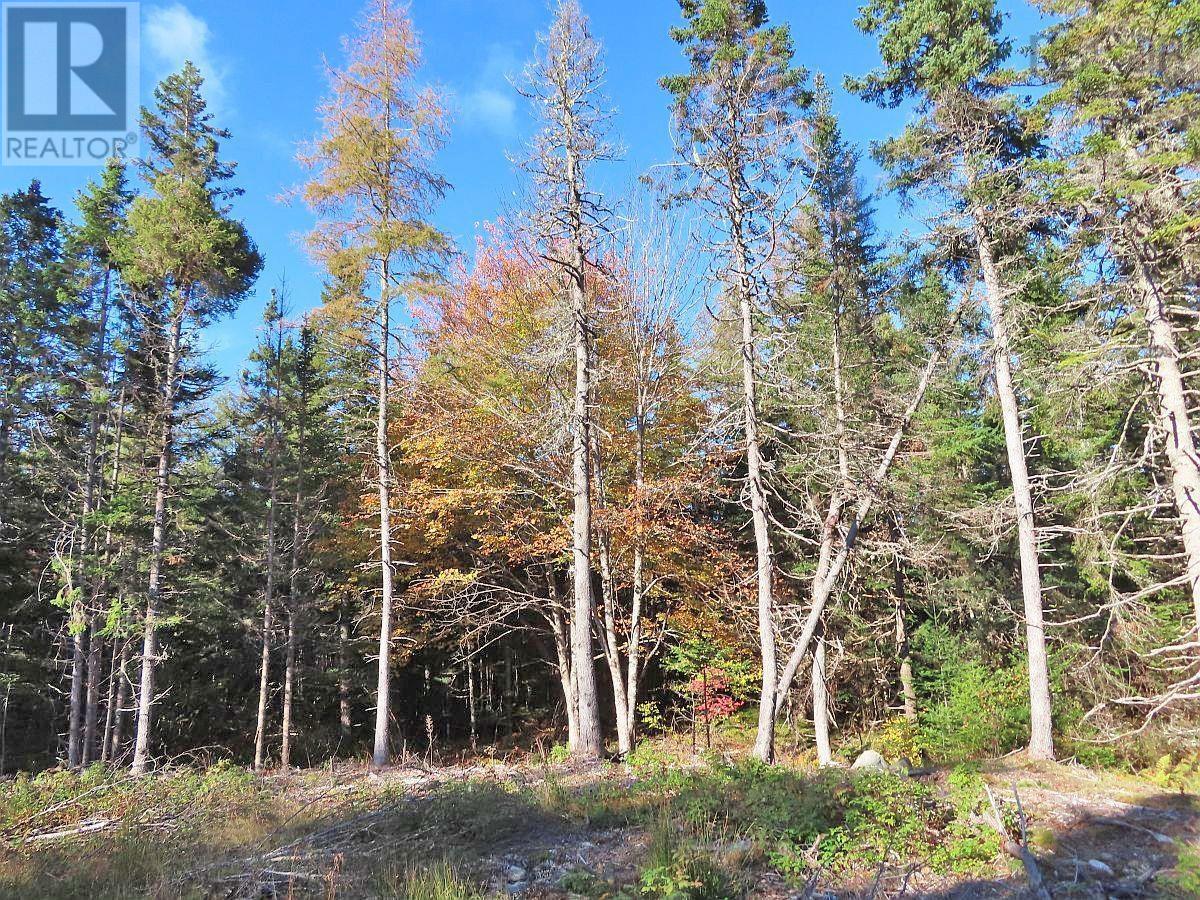 Lot 8 #4 Highway (lower River Road) Road Property Photo 3