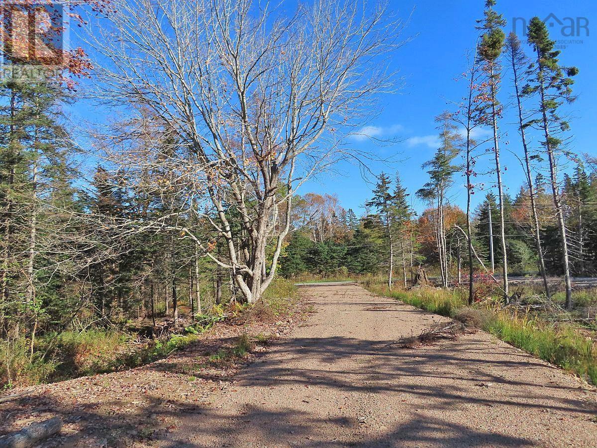 Lot 8 #4 Highway (lower River Road) Road Property Photo 4