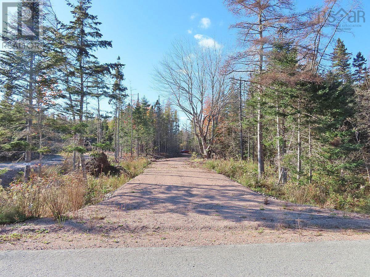 Lot 8 #4 Highway (lower River Road) Road Property Photo 5