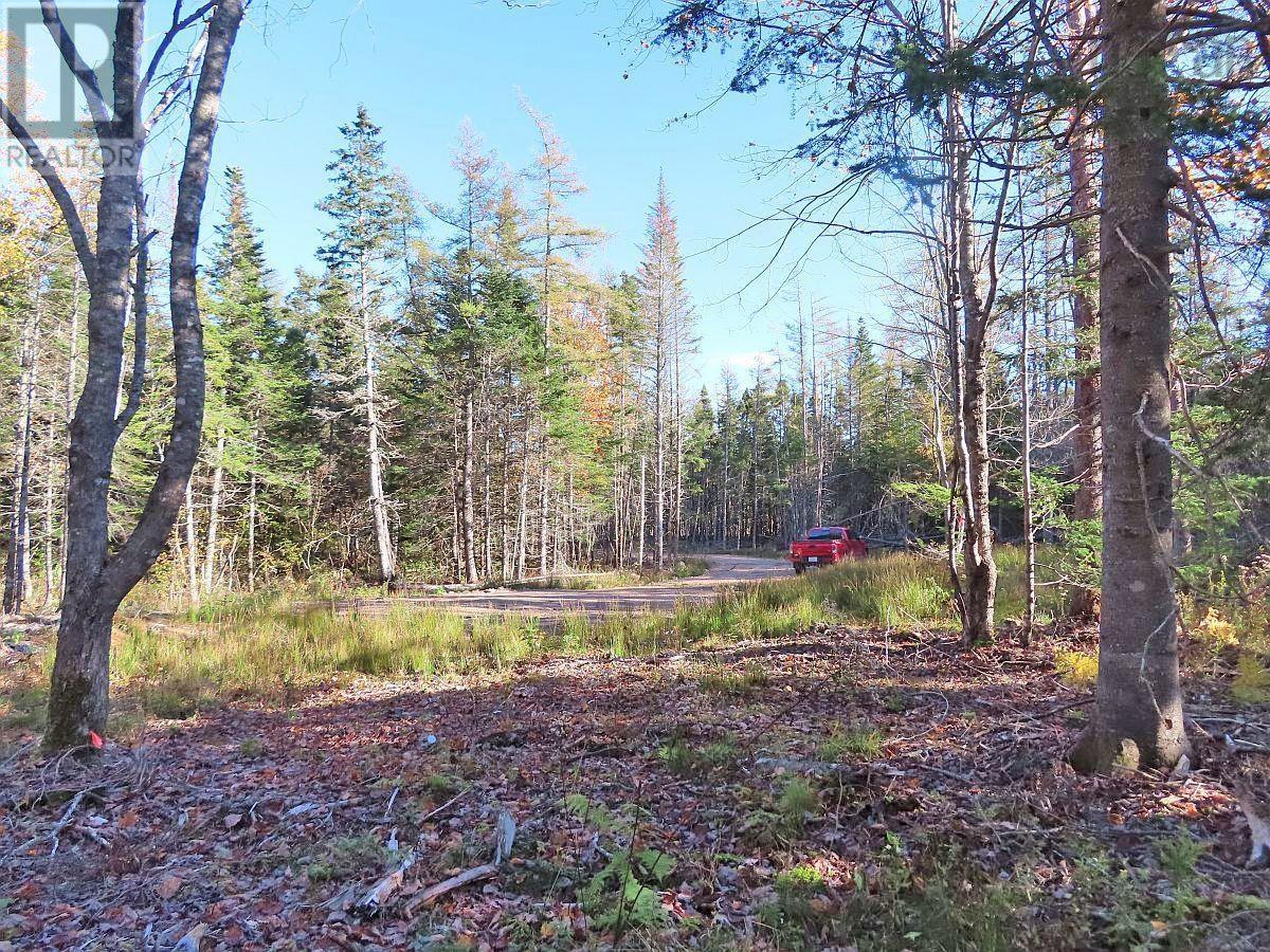 Lot 8 #4 Highway (lower River Road) Road Property Photo 7