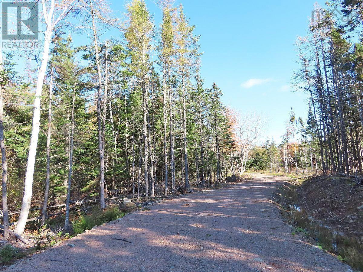 Lot 8 #4 Highway (lower River Road) Road Property Photo 8