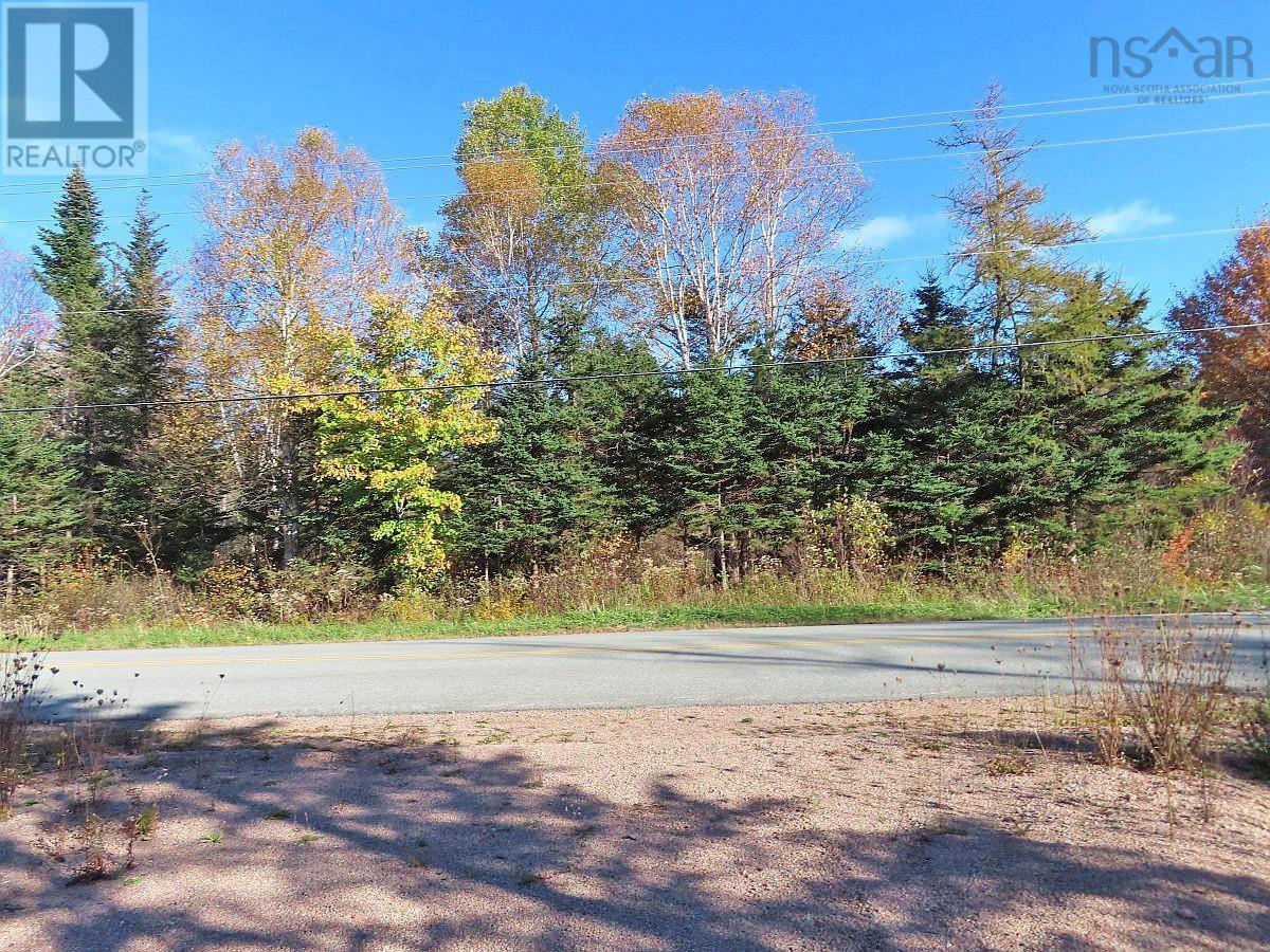 Lot 8 #4 Highway (lower River Road) Road Property Photo 9