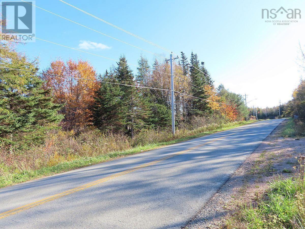 Lot 8 #4 Highway (lower River Road) Road Property Photo 10