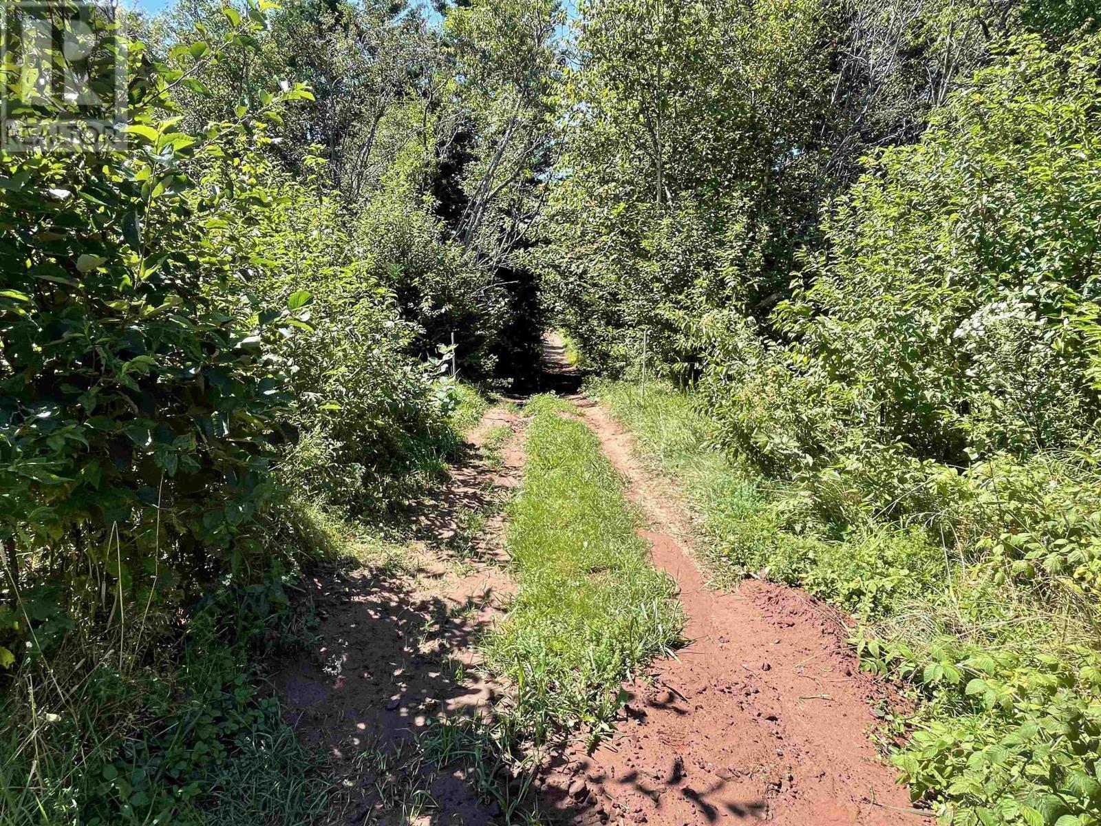 10205 Route 11 Property Photo 8
