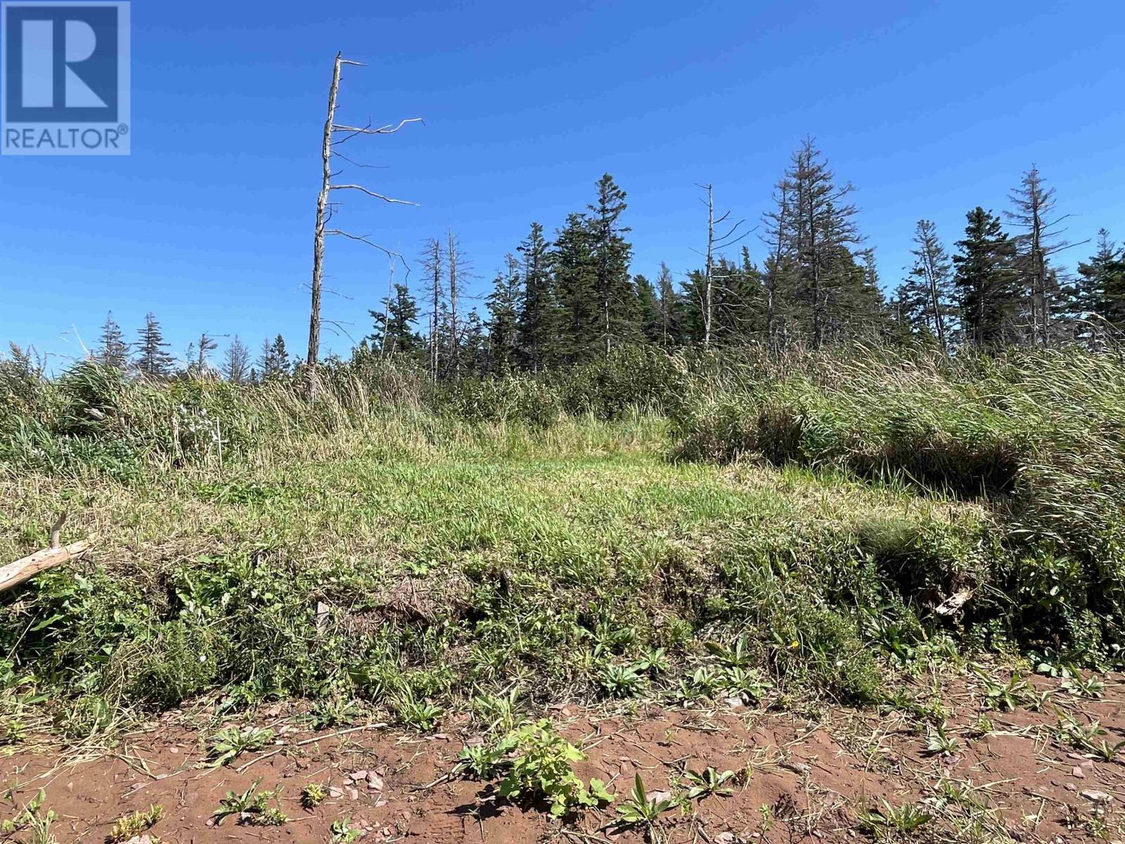 10205 Route 11 Property Photo 14