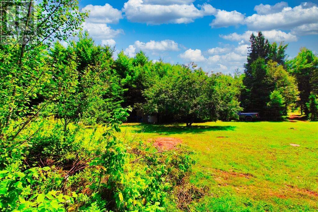 669 Tory Road Property Photo 8