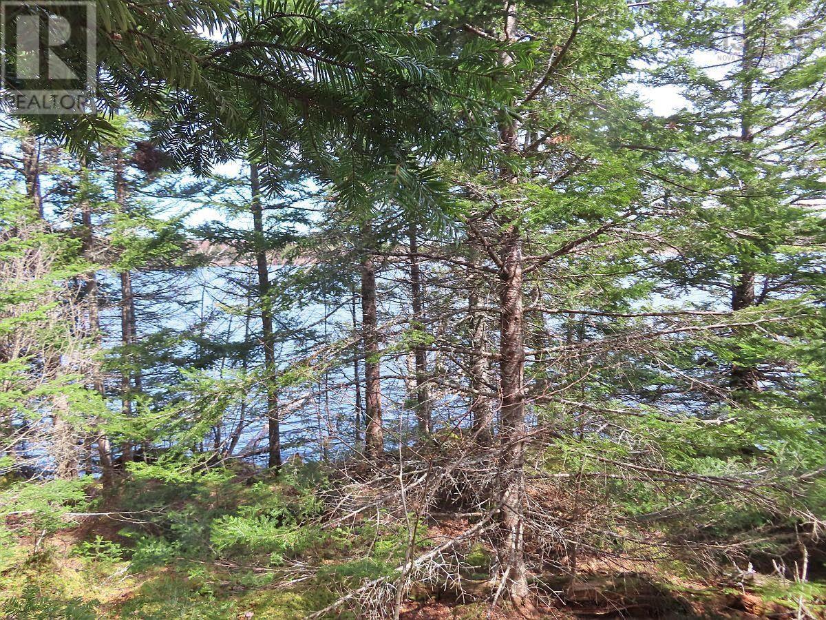 Lot 20 Joanne Langford Drive Property Photo 17