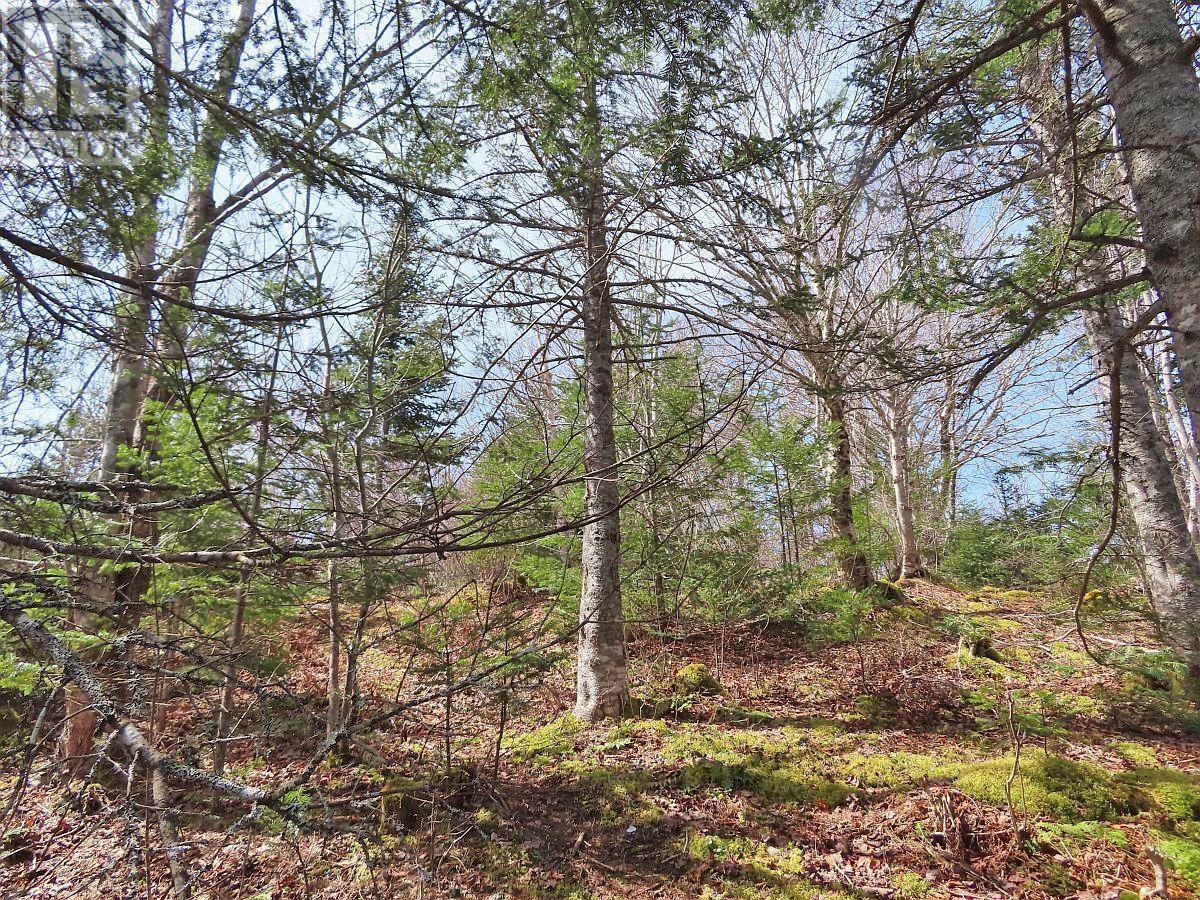 Lot 20 Joanne Langford Drive Property Photo 18