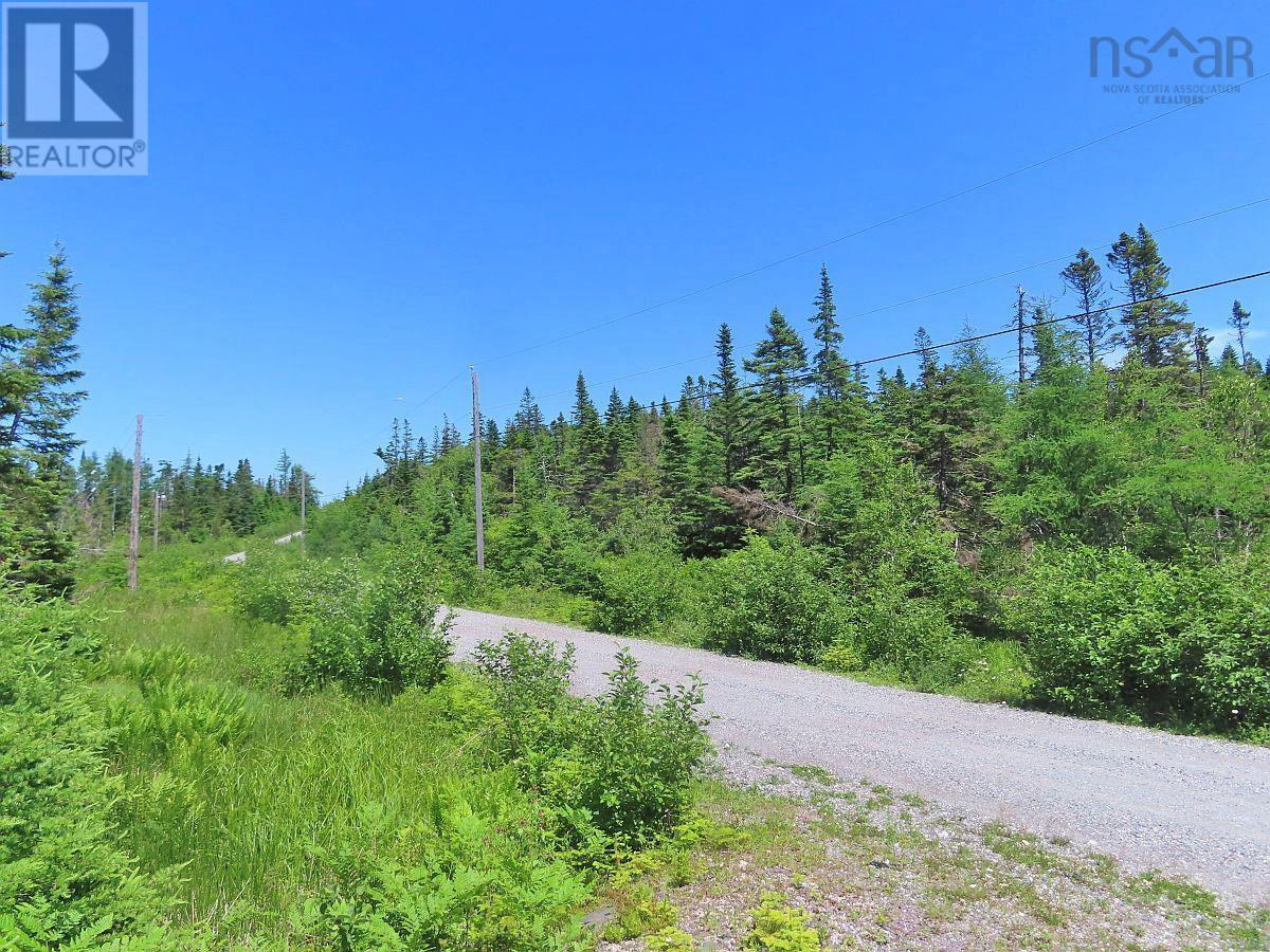 Lot 20 Joanne Langford Drive Property Photo 19