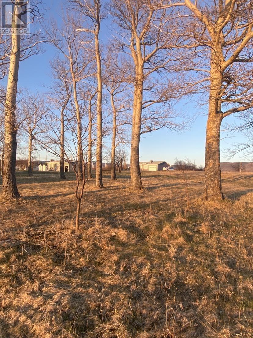 Lot 5 Cabot Trail Property Photo 3
