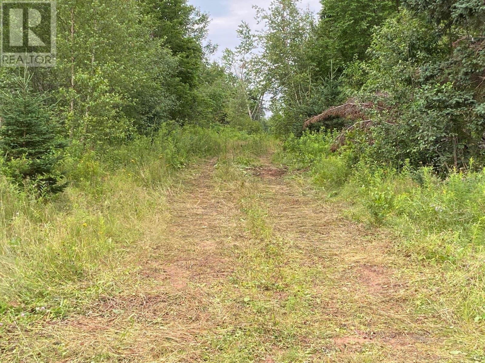 Acreage Primrose Road Property Photo 2