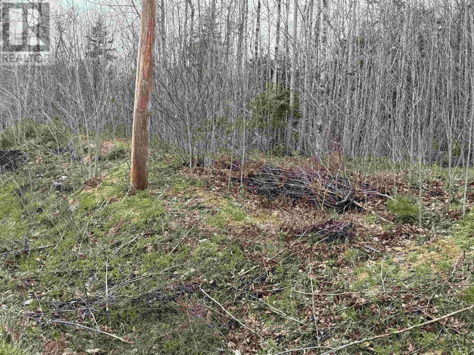 Lot 5 Highway 10 Property Photo 2