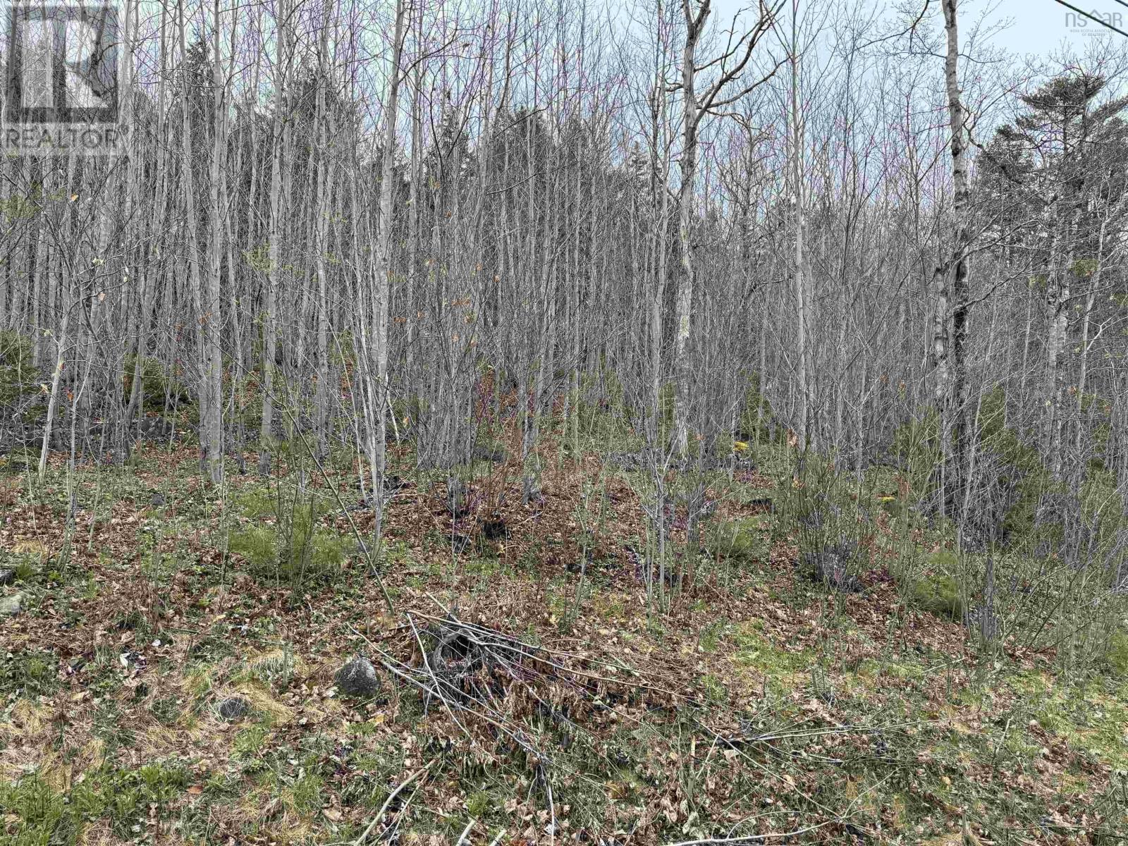 Lot 5 Highway 10 Property Photo 3