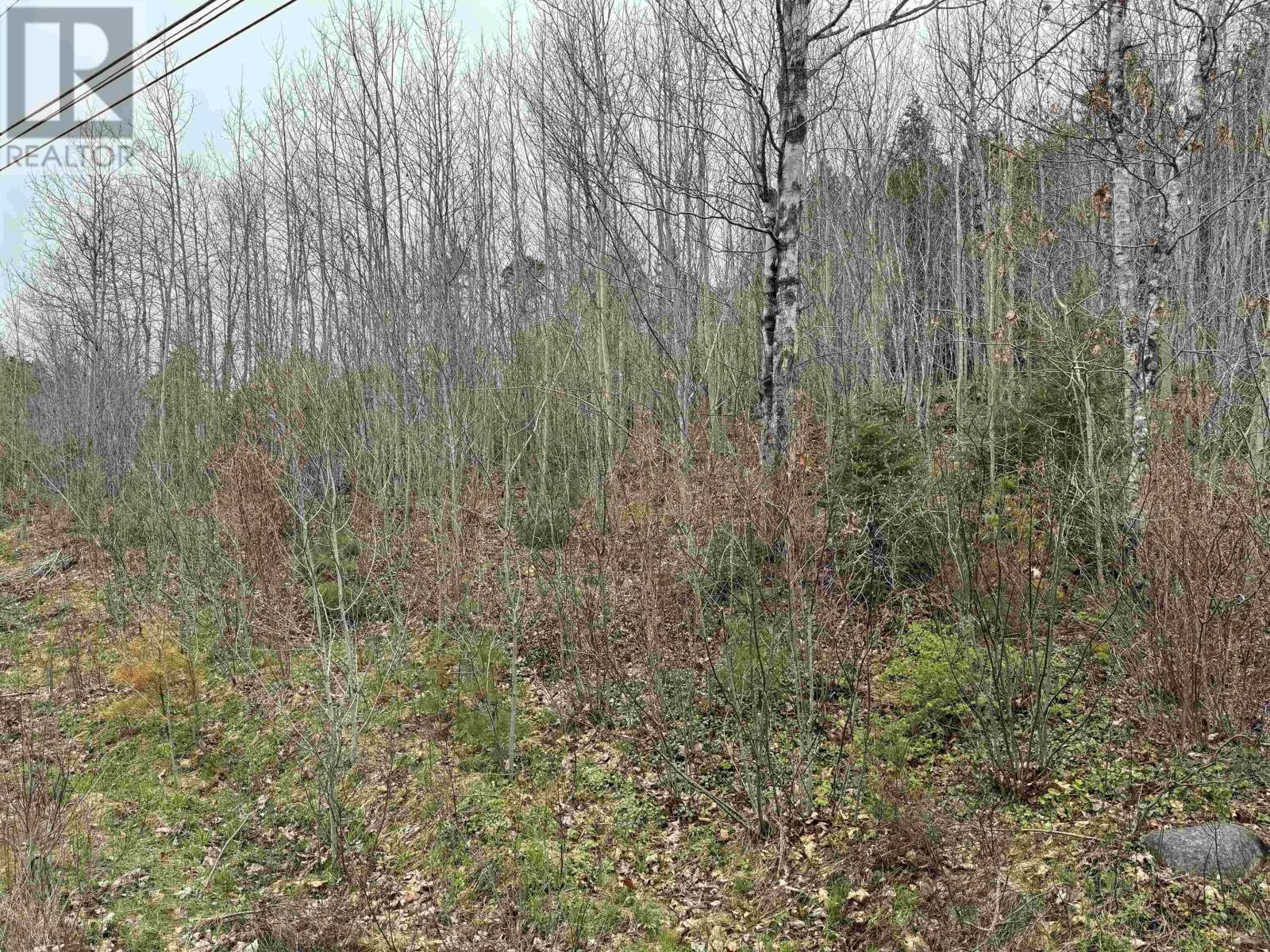 Lot 5 Highway 10 Property Photo 4