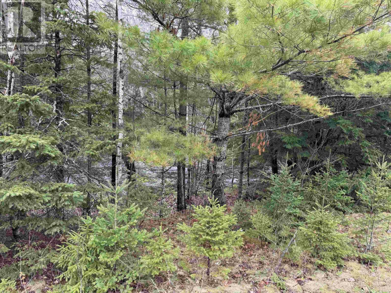 Lot 5 Highway 10 Property Photo 6