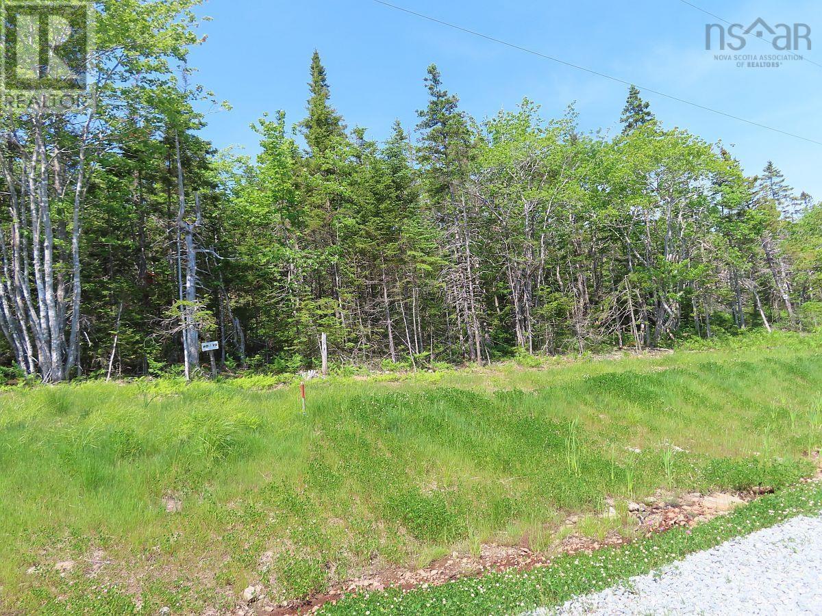 Lot 20 Perry Lane Property Photo 5