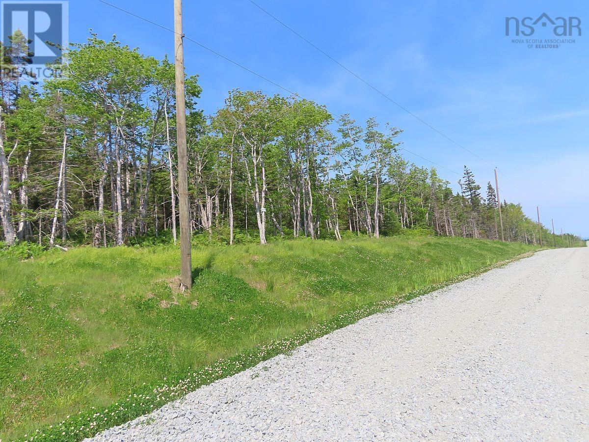 Lot 20 Perry Lane Property Photo 6