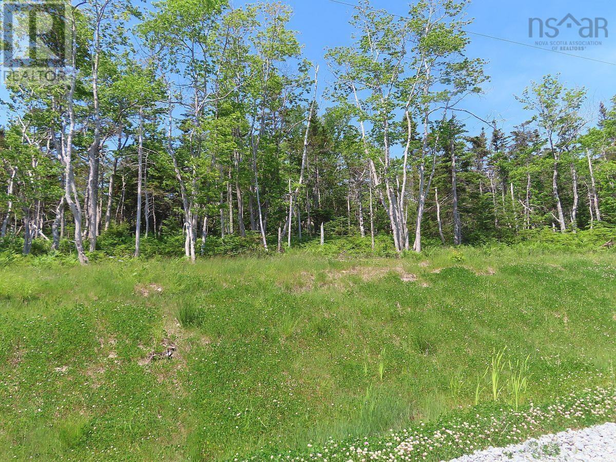 Lot 20 Perry Lane Property Photo 7