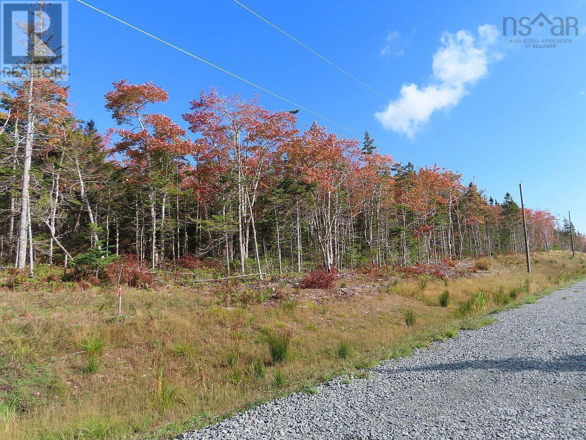 Lot 20 Perry Lane Property Photo 11