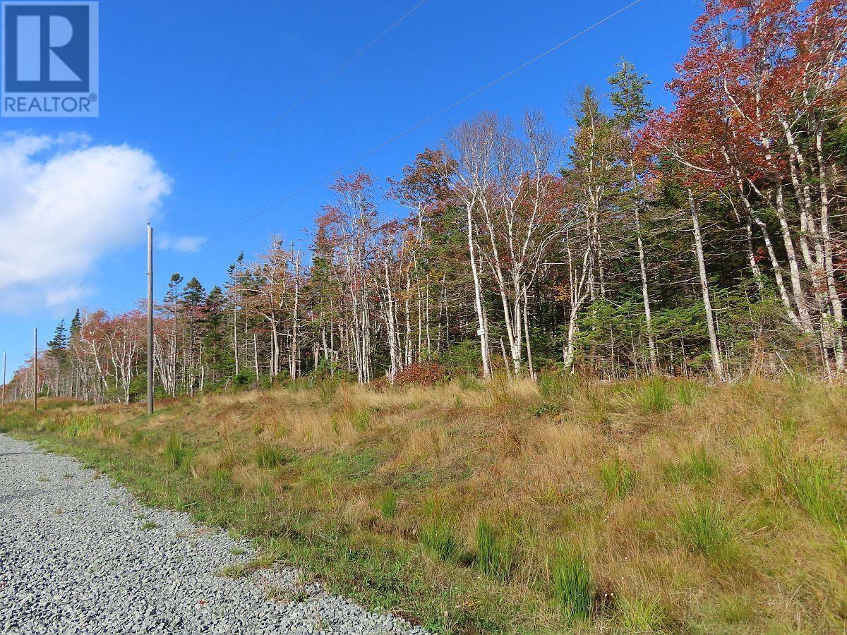Lot 20 Perry Lane Property Photo 12