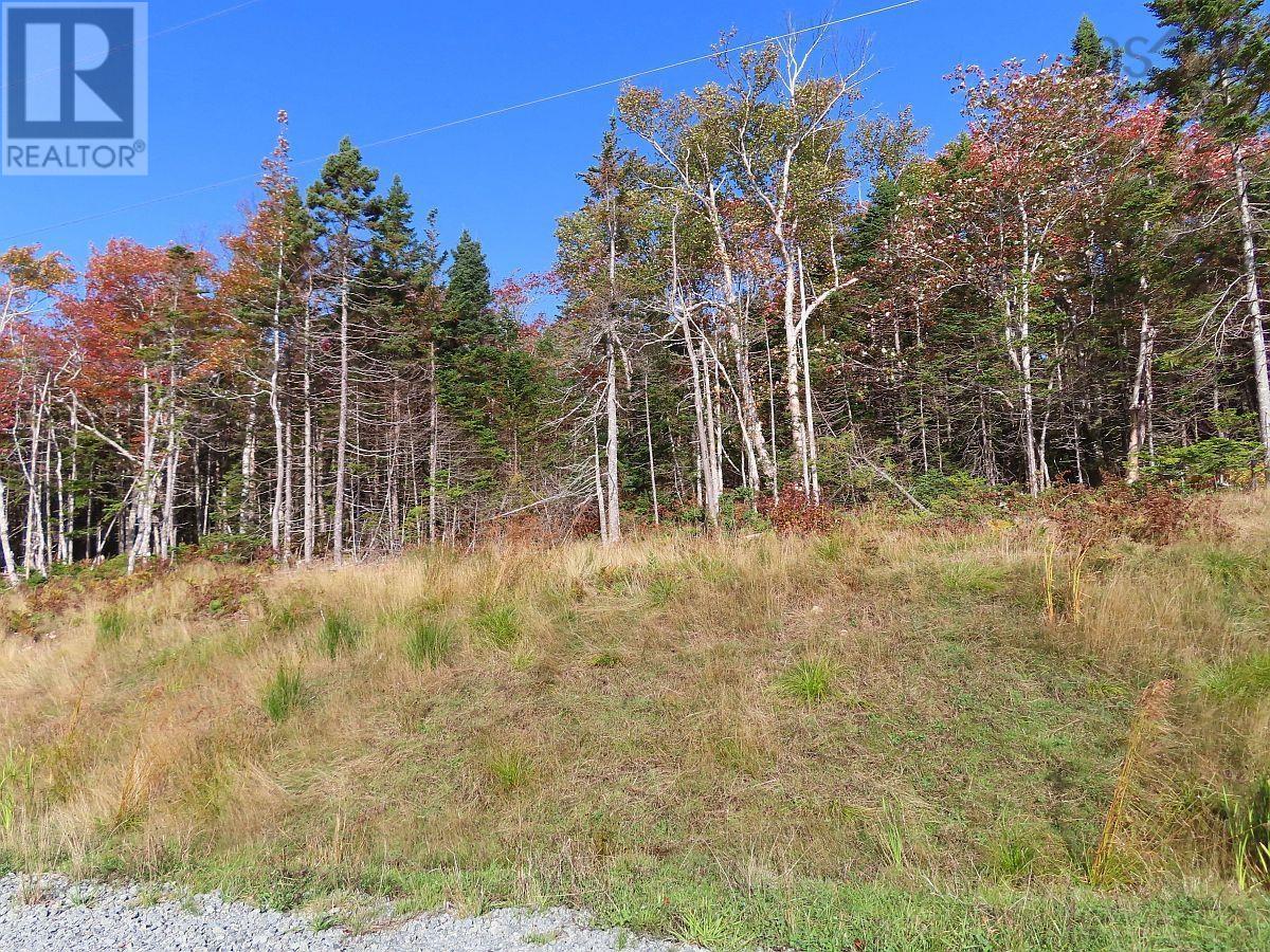 Lot 20 Perry Lane Property Photo 13