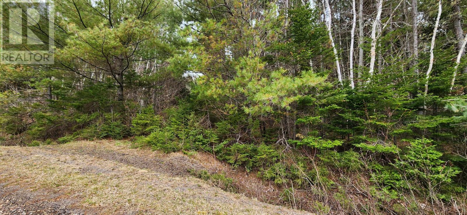Lot Weatherby Road Property Photo 3