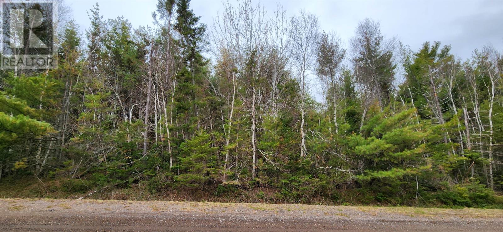 Lot Weatherby Road Property Photo 6