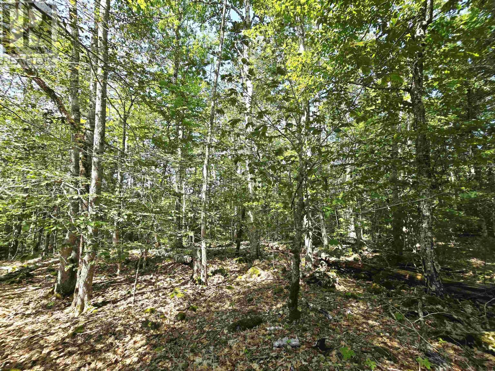 71 Ponhook View Drive Property Photo 37