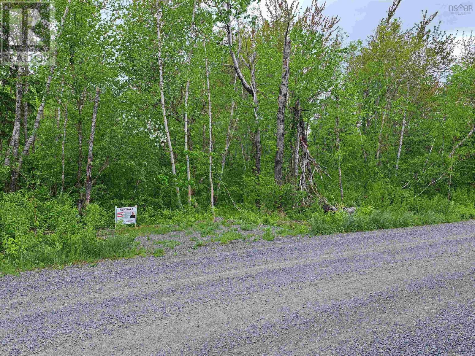 4 Mattatal Branch Road Property Photo 1