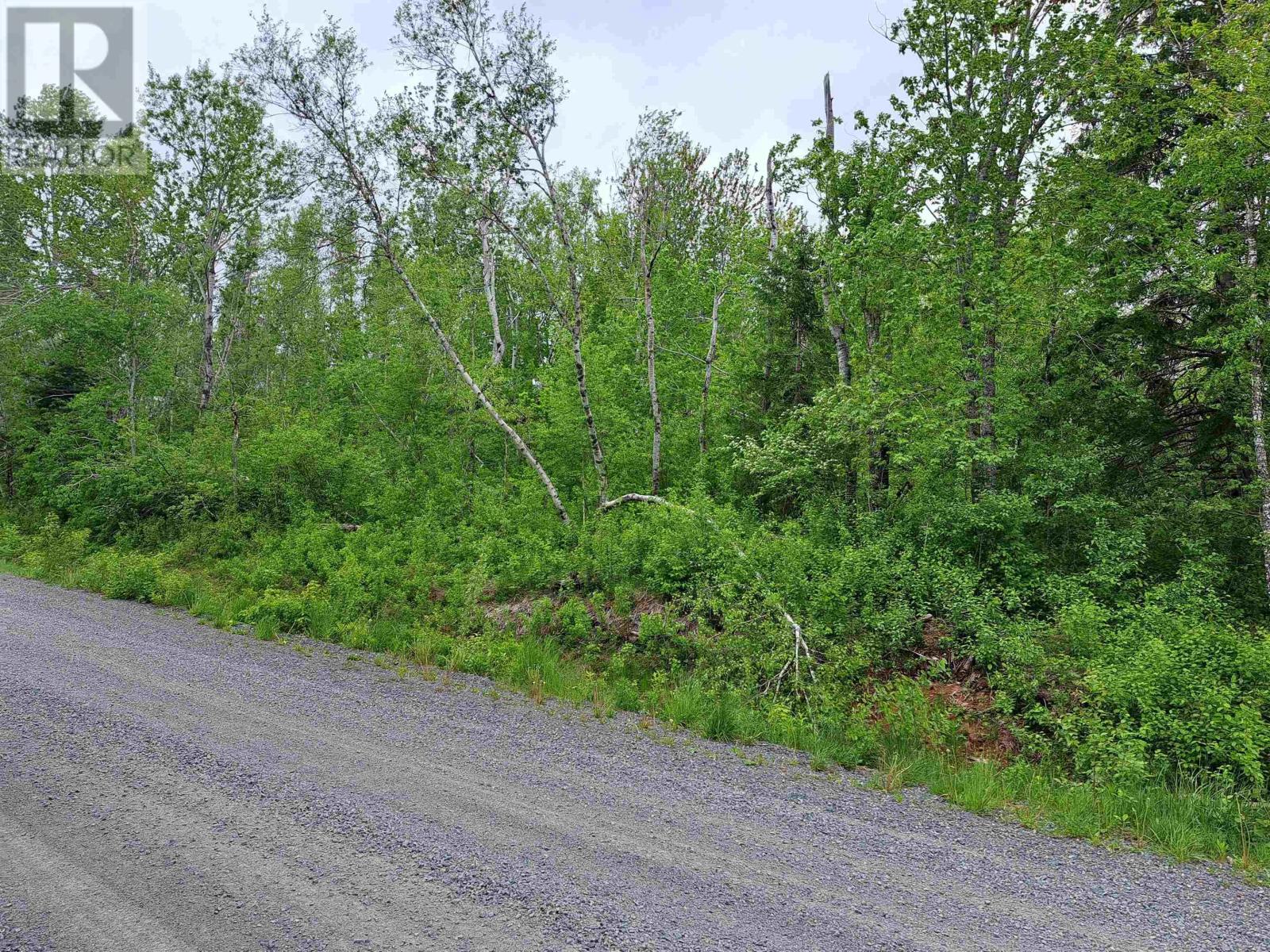 4 Mattatal Branch Road Property Photo 3