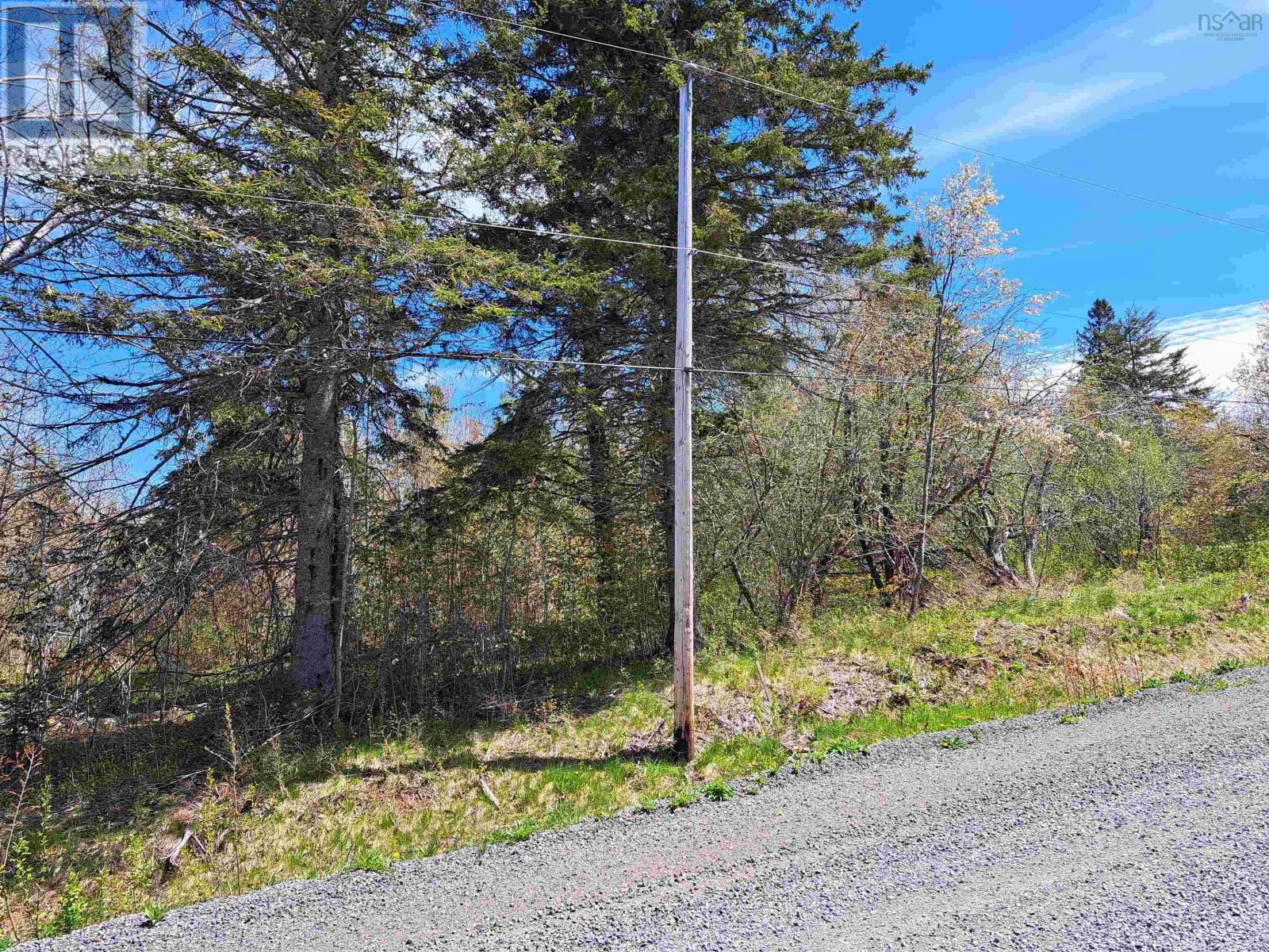 4 Mattatal Branch Road Property Photo 5