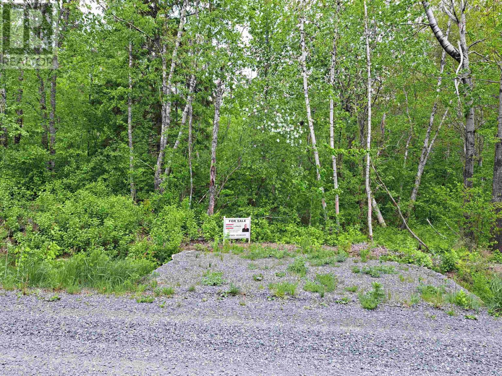 4 Mattatal Branch Road Property Photo 8