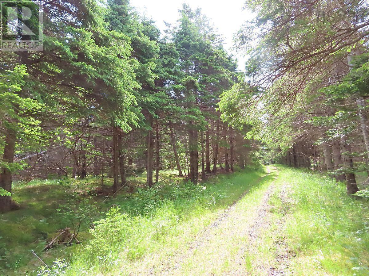 Lot 126 Manfred Prekau Drive Property Photo 16
