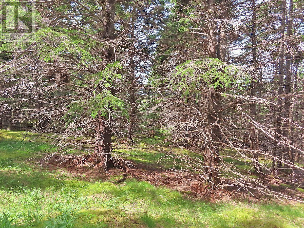 Lot 126 Manfred Prekau Drive Property Photo 18