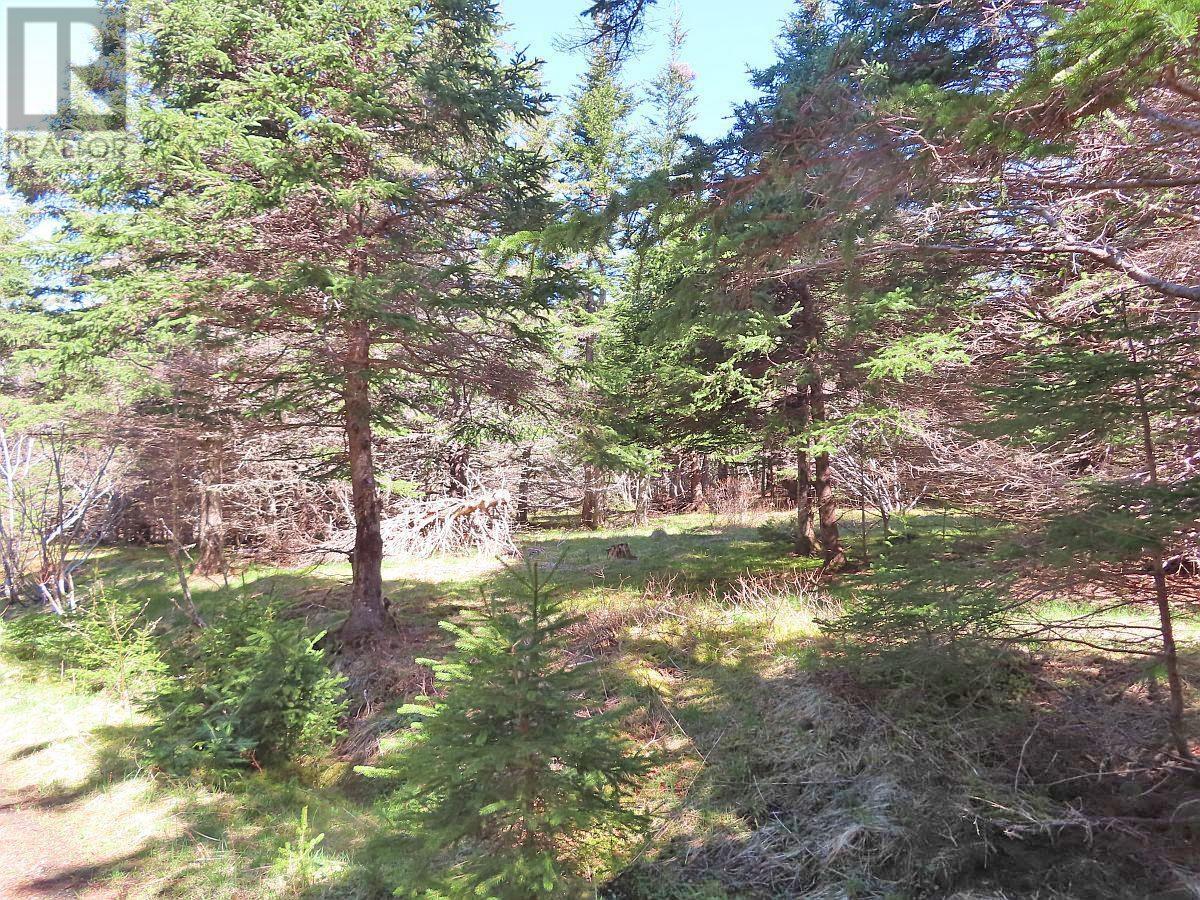 Lot 126 Manfred Prekau Drive Property Photo 19