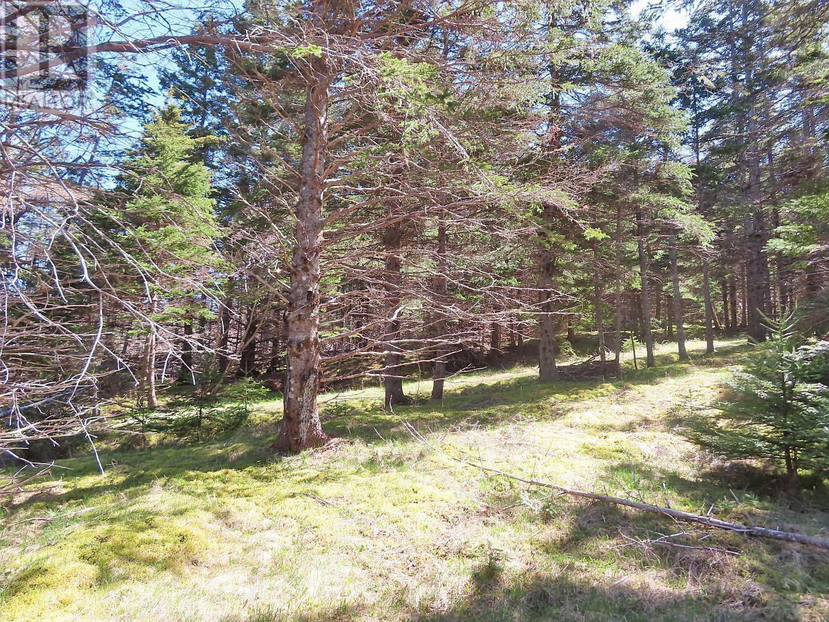 Lot 126 Manfred Prekau Drive Property Photo 20