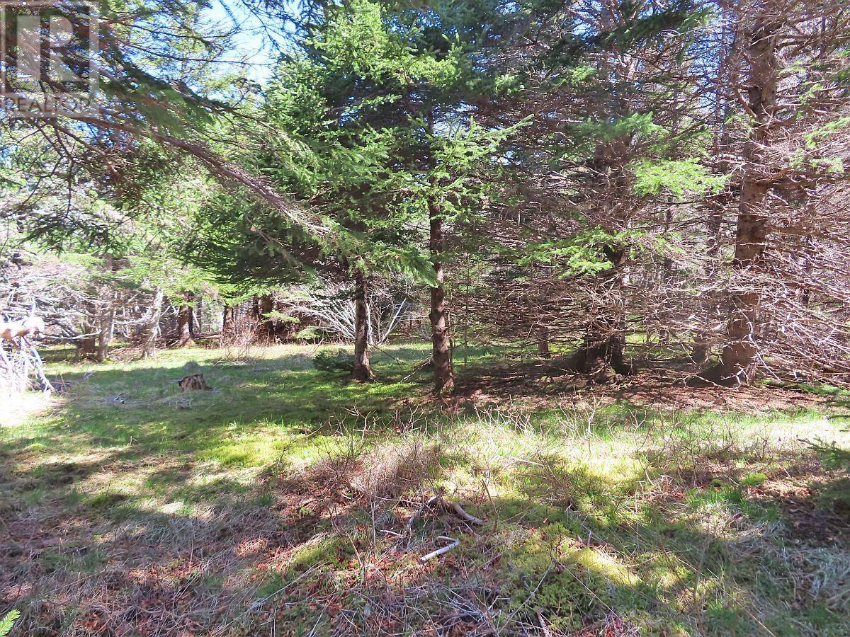 Lot 126 Manfred Prekau Drive Property Photo 21