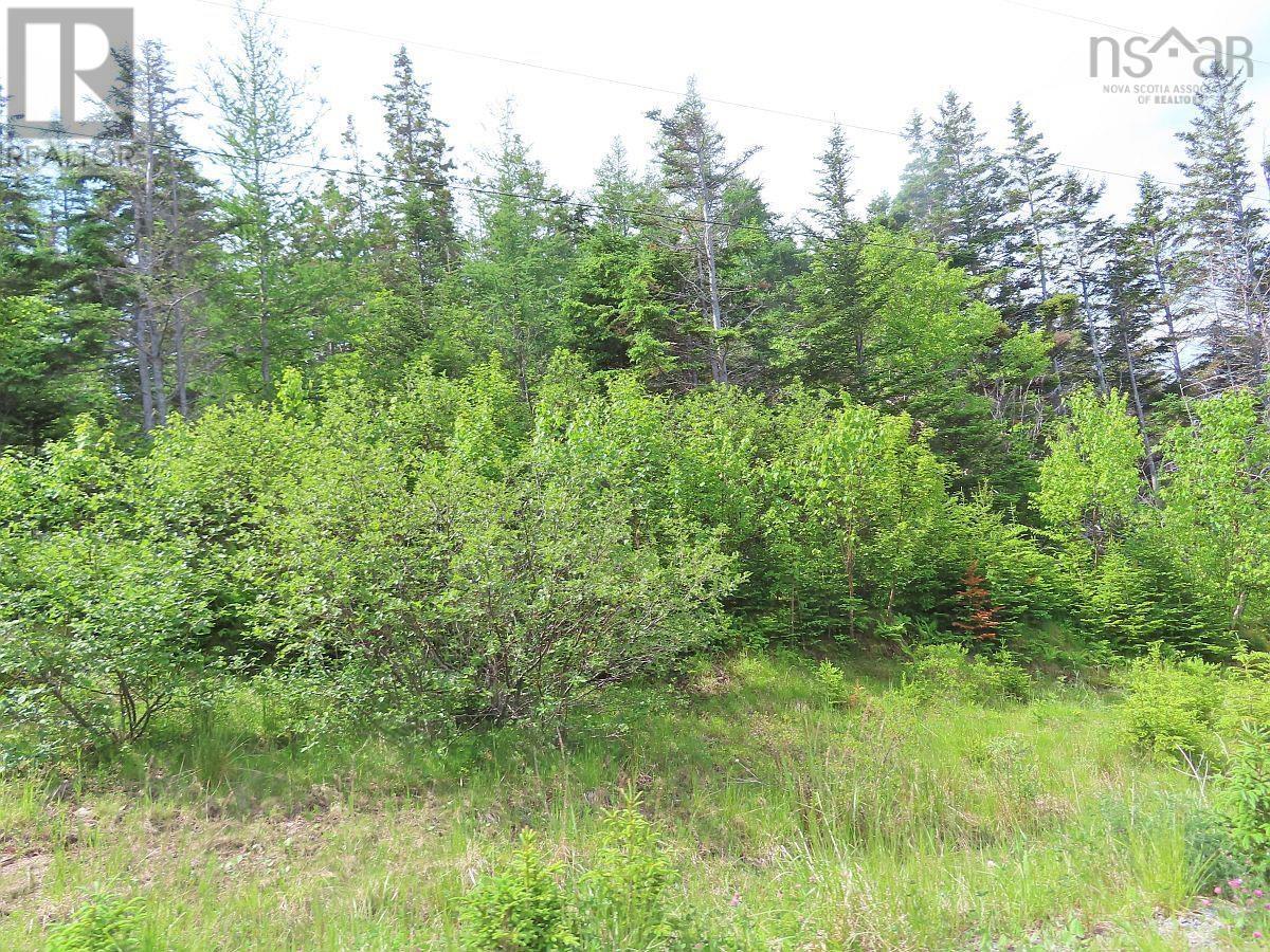Lot 126 Manfred Prekau Drive Property Photo 22