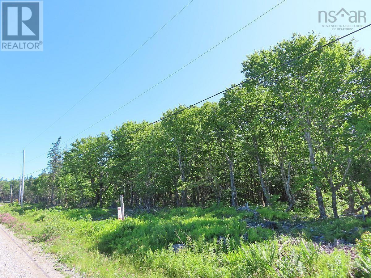 Lot 4 Loch Lomond Road Property Photo 5