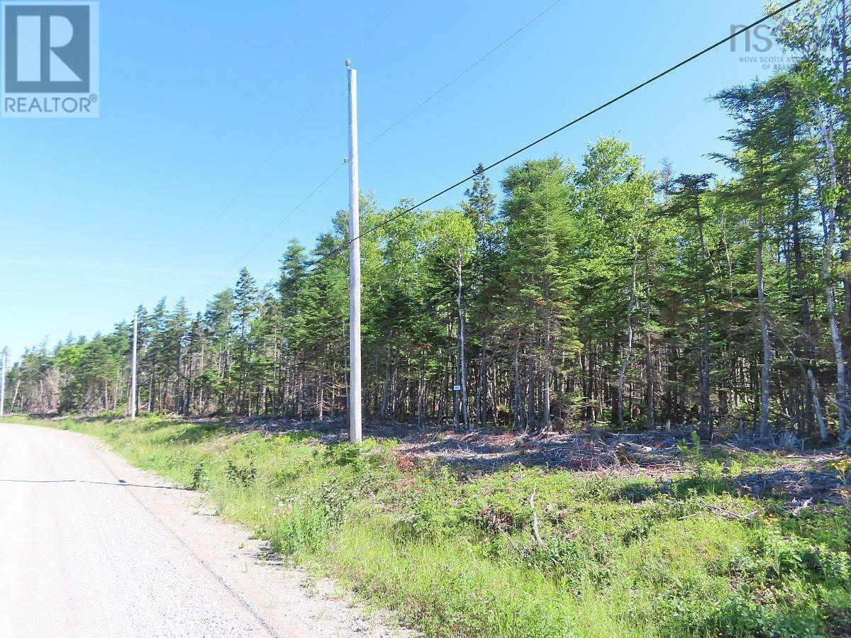Lot 4 Loch Lomond Road Property Photo 6