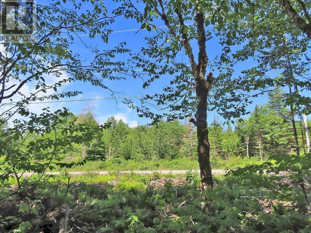 Lot 4 Loch Lomond Road Property Photo 8