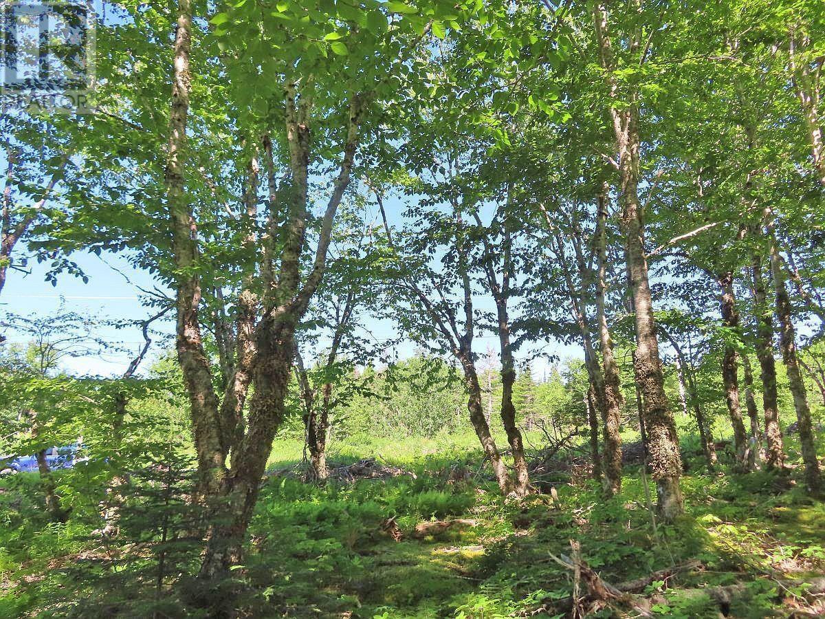 Lot 4 Loch Lomond Road Property Photo 9