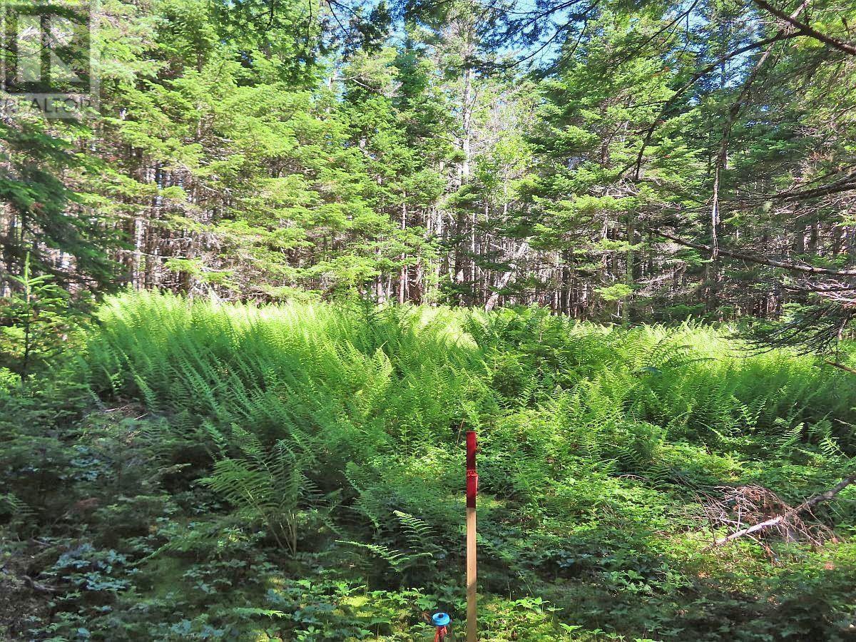 Lot 4 Loch Lomond Road Property Photo 15