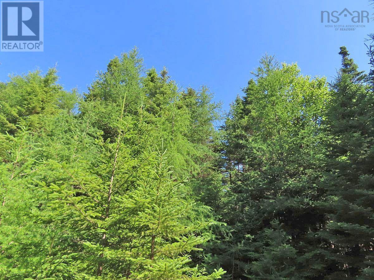 Lot 4 Loch Lomond Road Property Photo 17