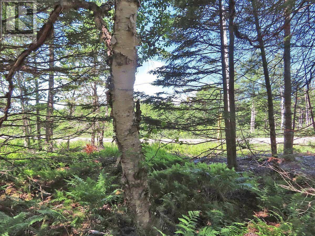 Lot 4 Loch Lomond Road Property Photo 19